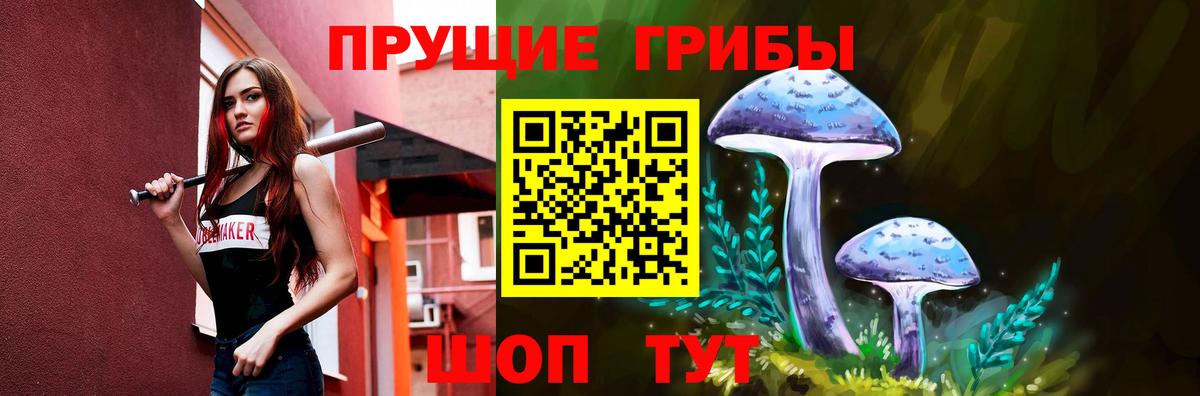 Псилоцибиновые грибы мухоморы  Вход с VPN  Псилоцибиновые грибы MAGIC MUSHROOMS  Владимир 